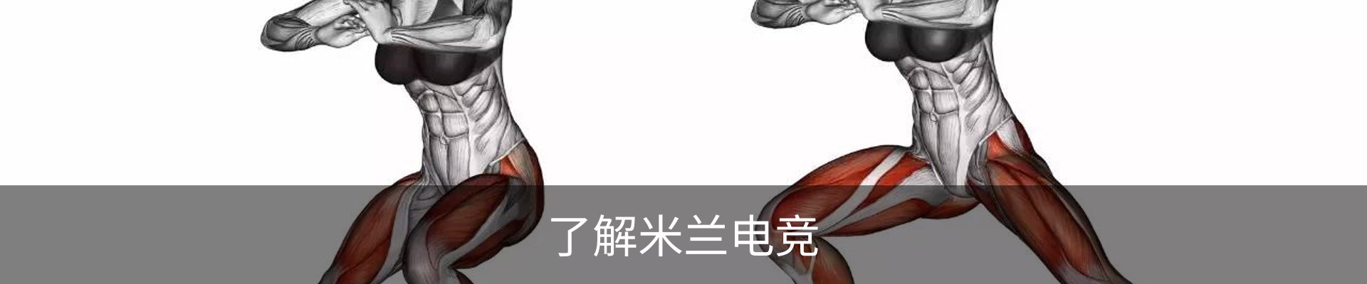 了解米兰电竞