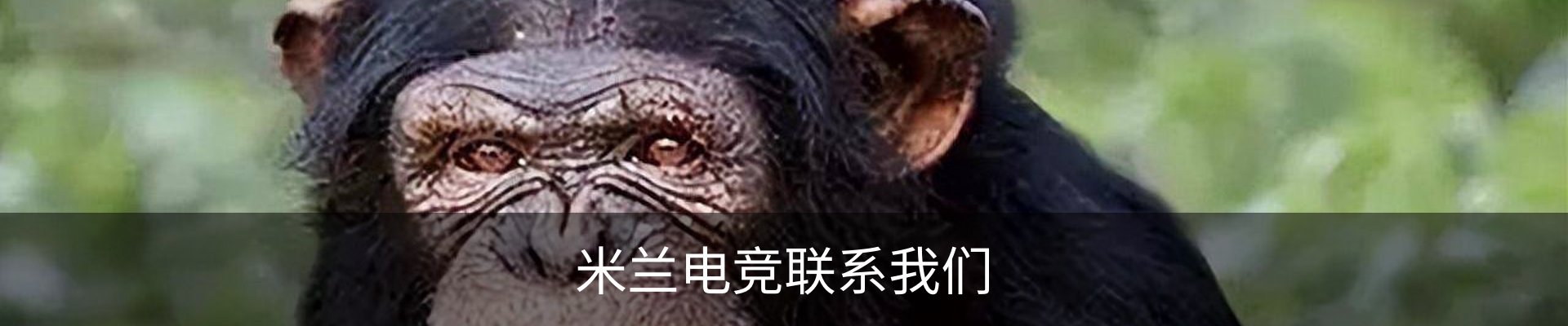 米兰电竞联系我们